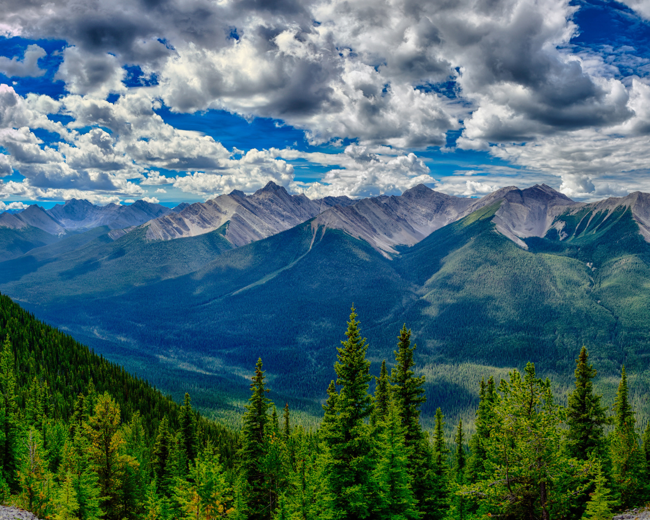 Красивое небо с белыми облаками над покрытыми лесом горами