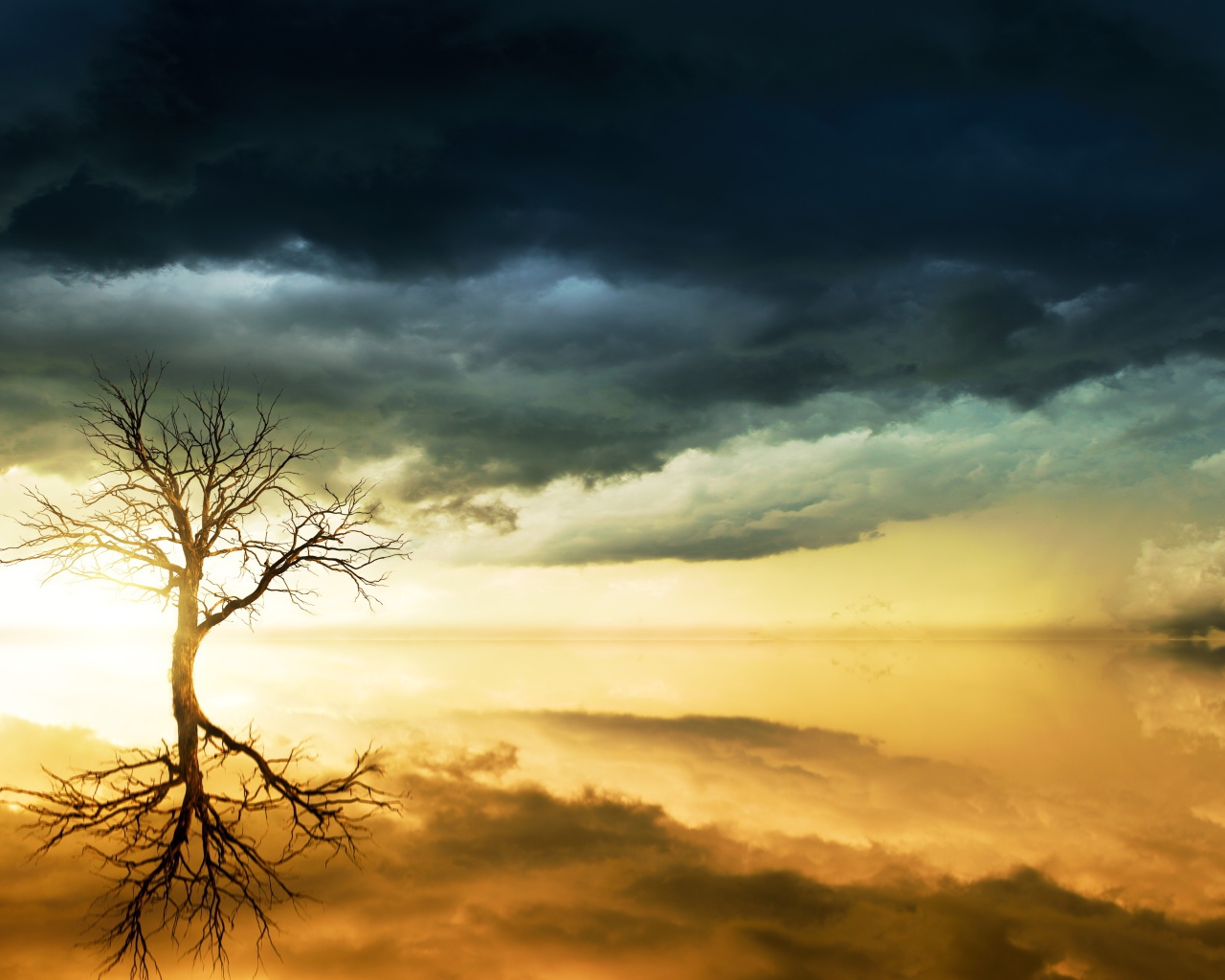 Черные облака в небе и дерево отражаются в воде