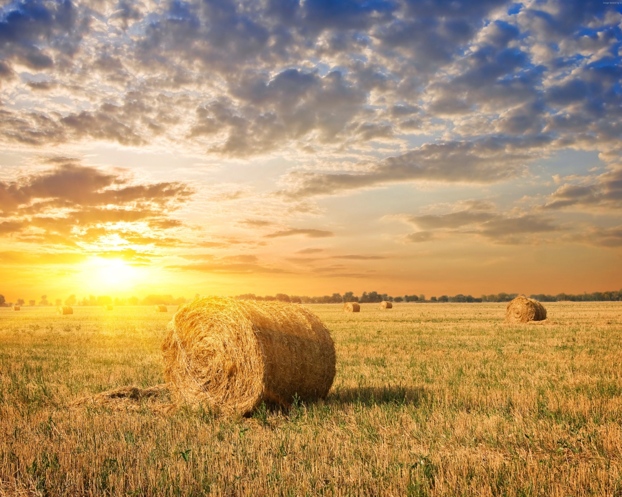 Яркое летнее солнце на закате над полем с соломой