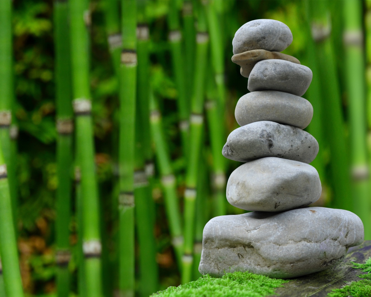 Серые камни на фоне зеленого бамбука