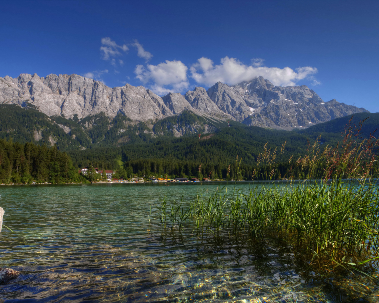 Зеленый лес у горного озера, Германия