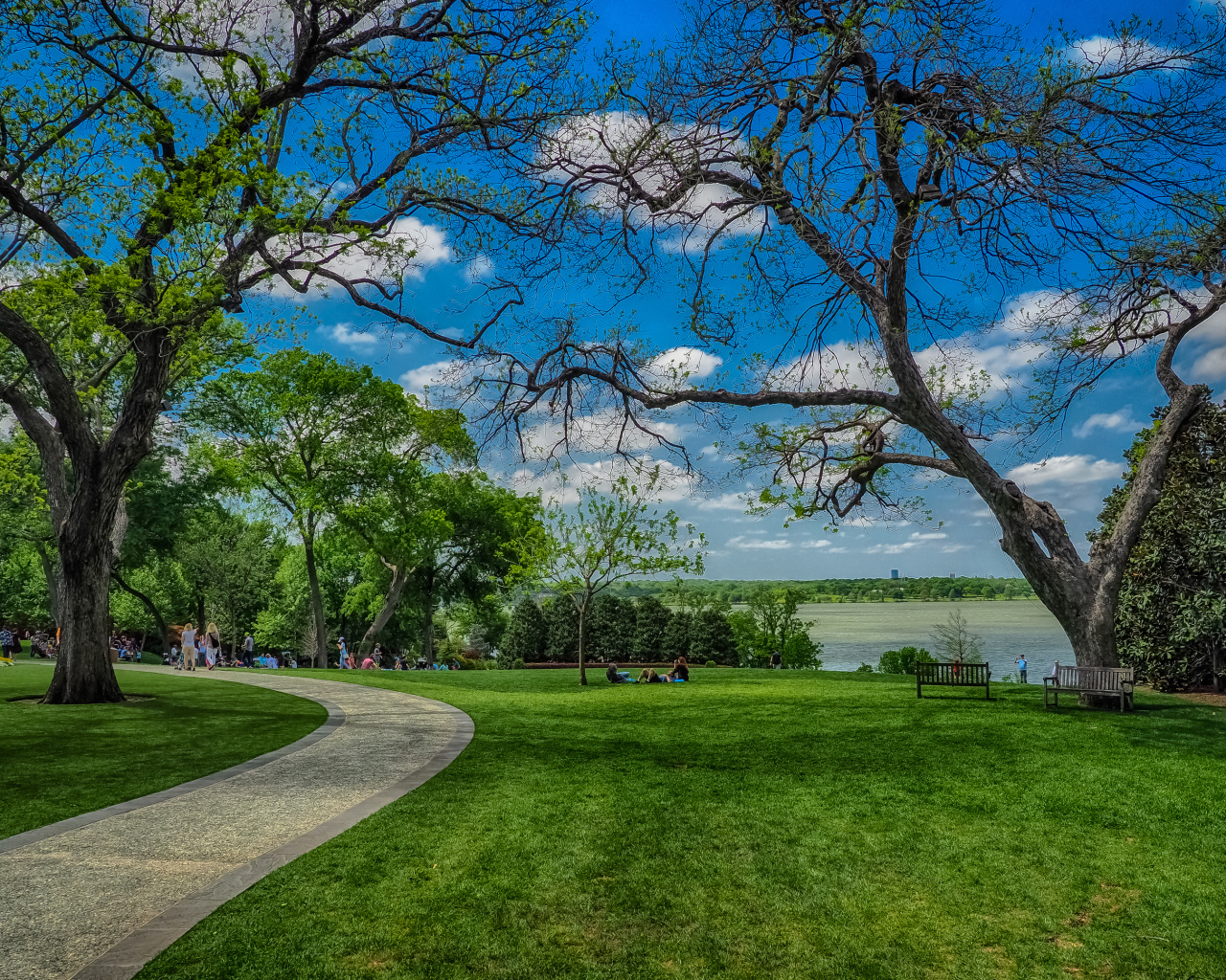 Зеленые газоны в парке на фоне красивого голубого неба