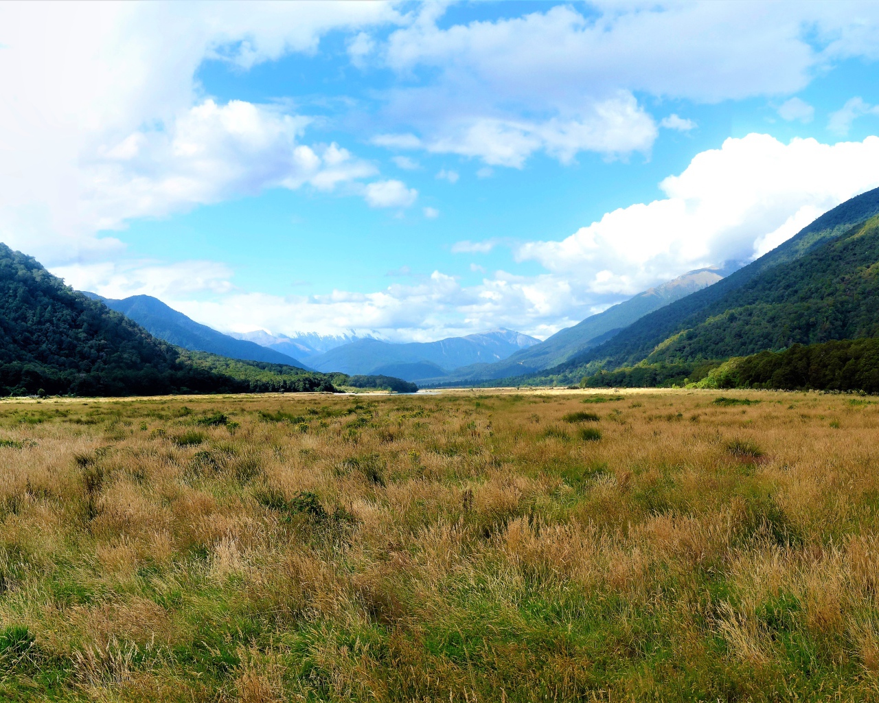 Зеленые природные просторы Новой Зеландии 