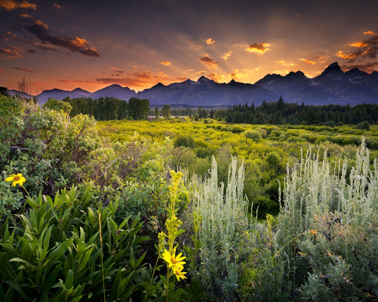 Зеленая природа и горы в лучах солнца 
