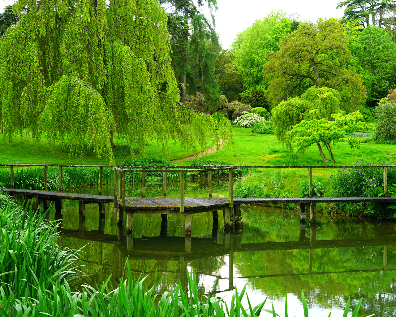 Зеленые деревья над старым мостом у пруда в парке