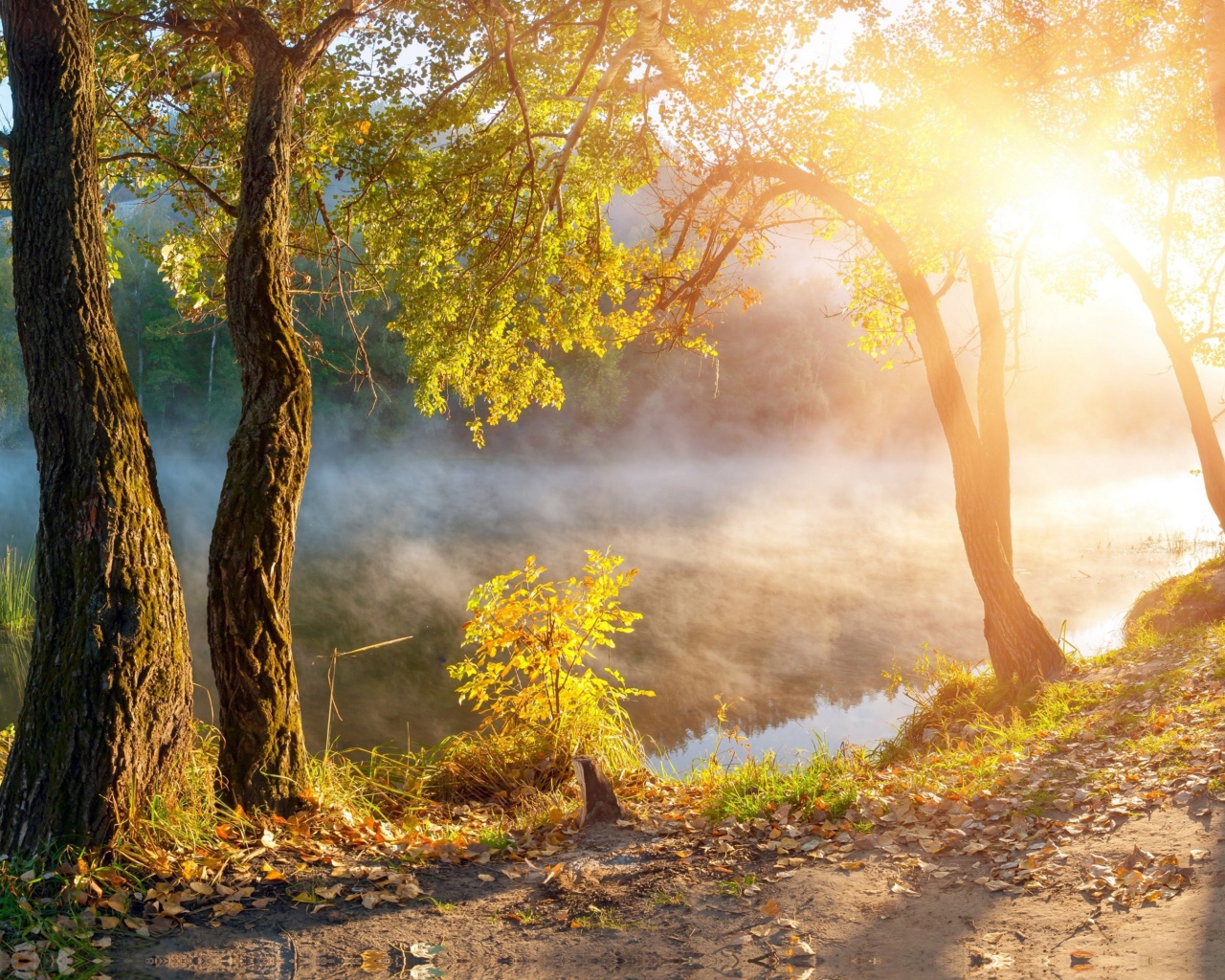 Утренний туман над рекой в лучах солнца осенью