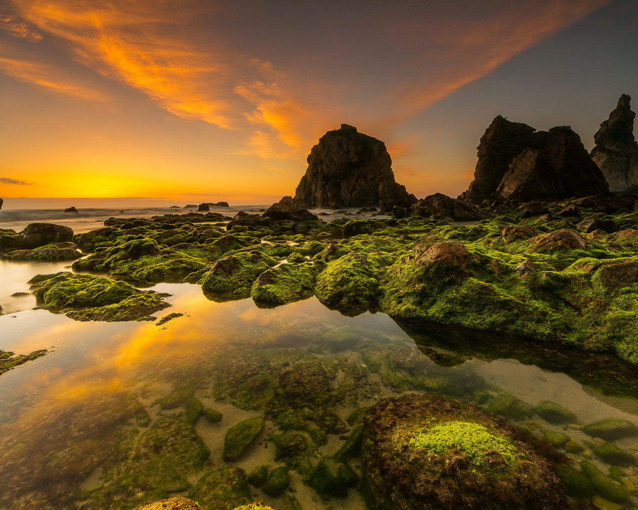 Покрытые мхом камни на морском берегу под красивым небом