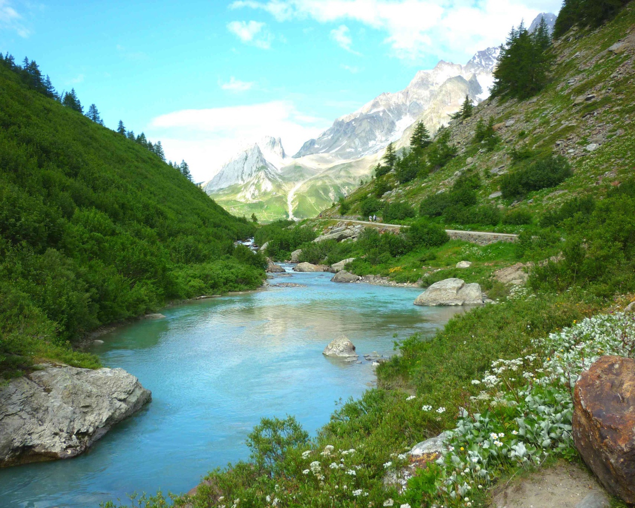 Горная река меж зеленых берегов 