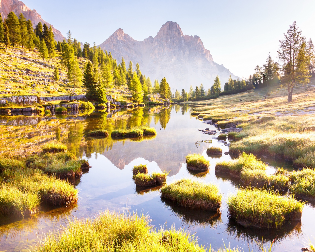 Горы трава и деревья отражаются в лесном озере