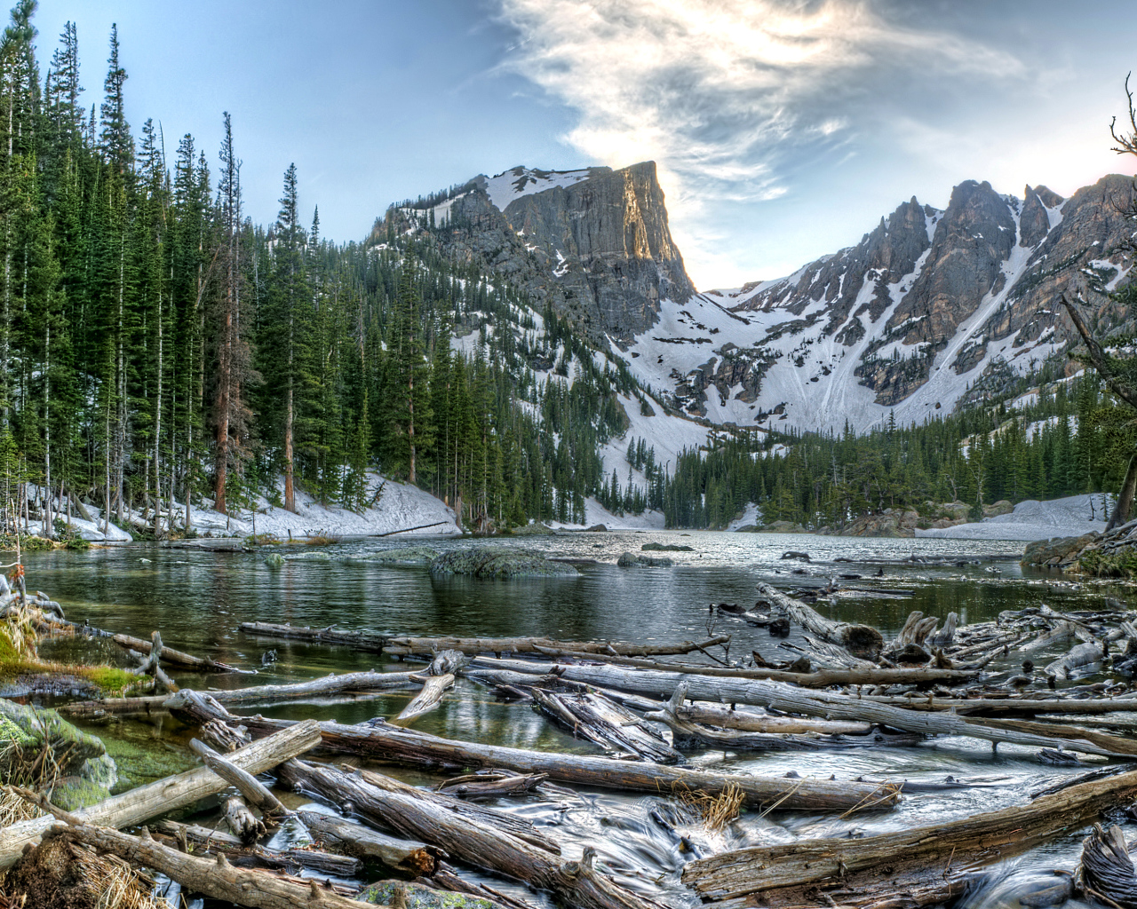 Старые бревна в воде на фоне заснеженных гор