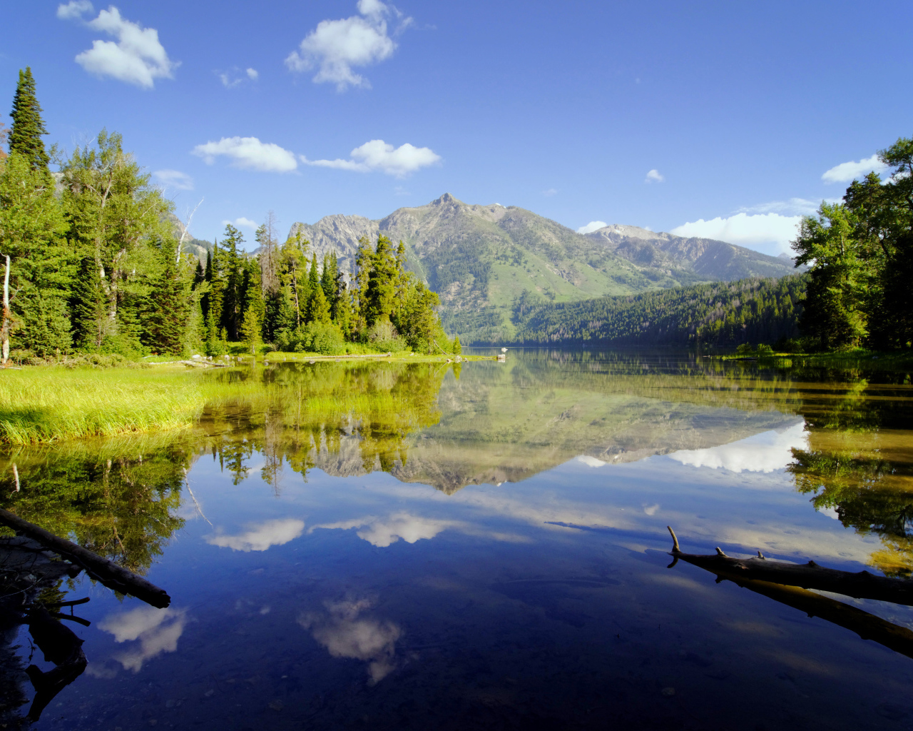 Живописная природа у горного озера 