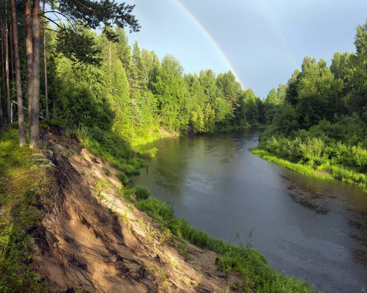 Радуга над рекой в зеленом лесу 