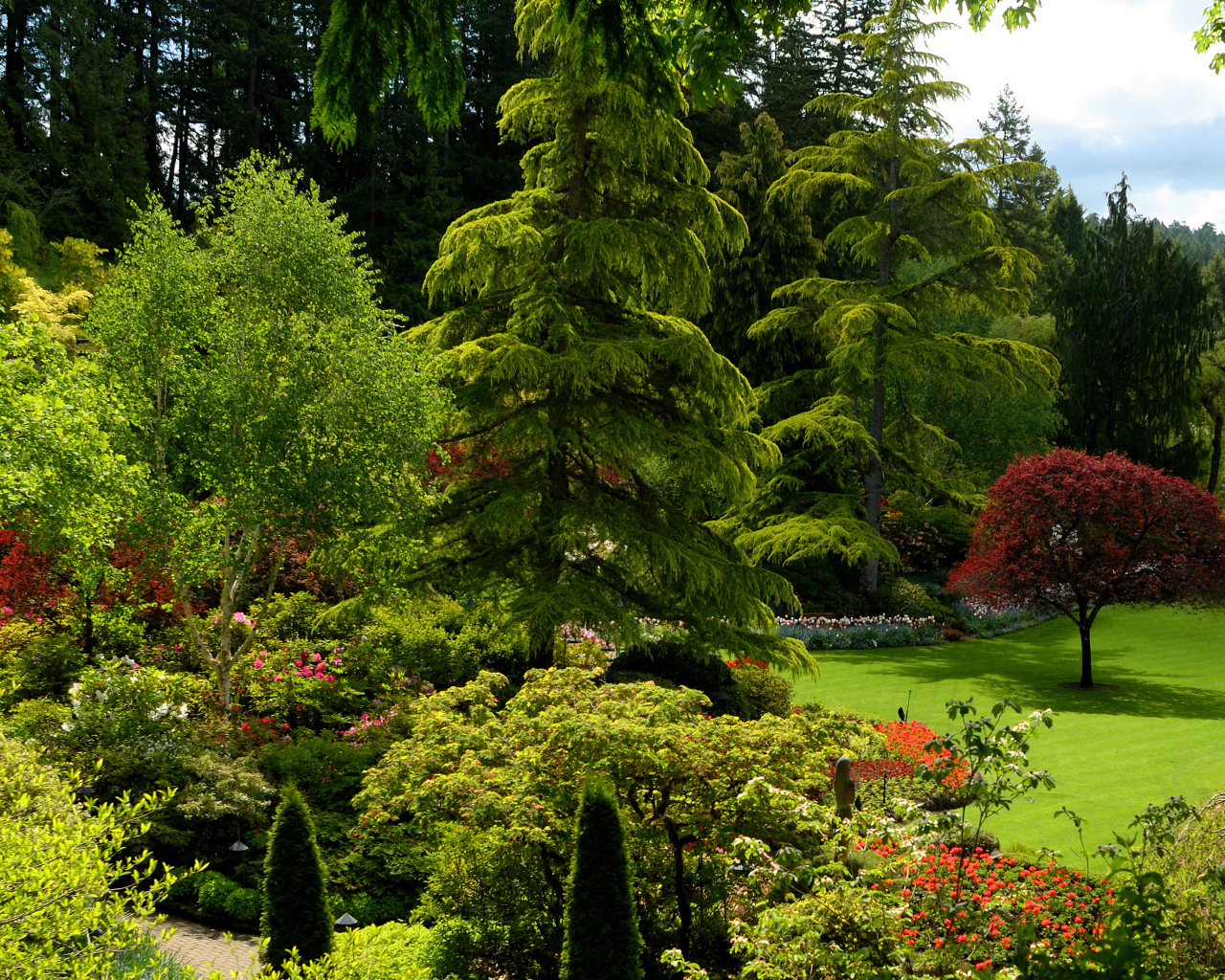 Живописный зеленый парк Канады