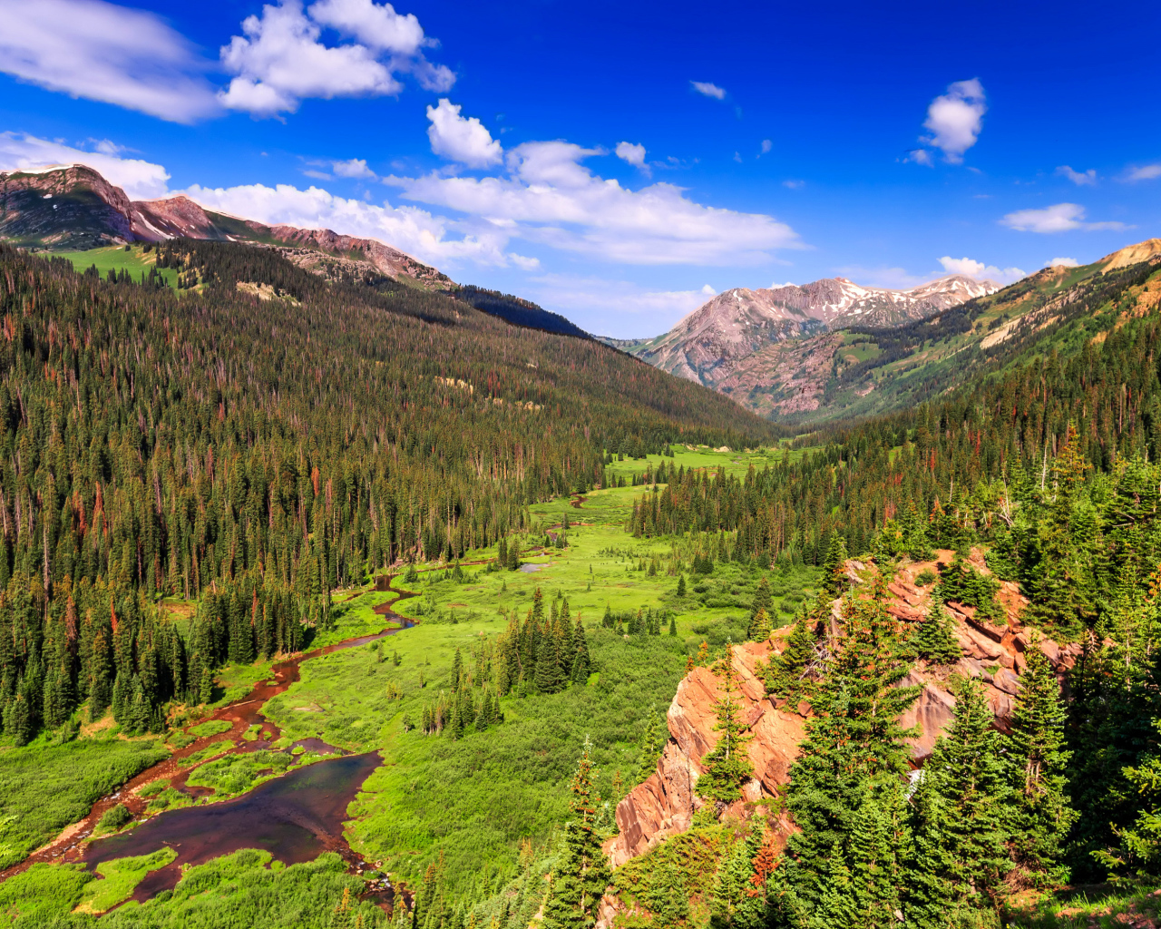 Живописный природный пейзаж под голубым небом 
