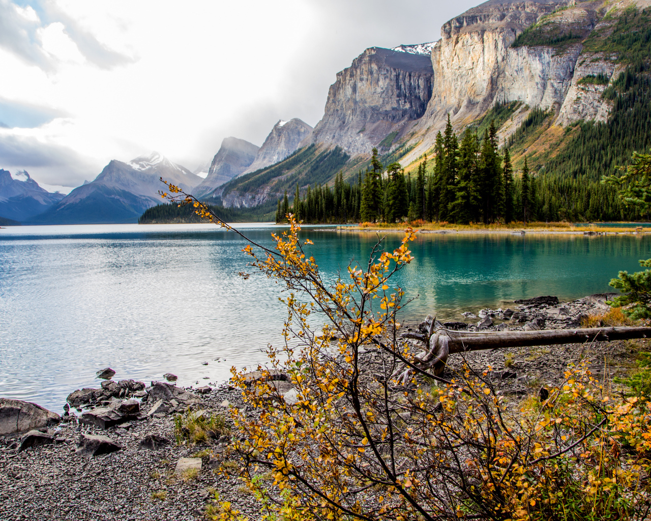 Остров Спирит на озере Малайн, Национальный парк Джаспер, Канада 