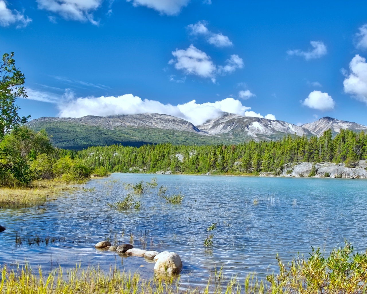 Летний пейзаж природы Аляски 