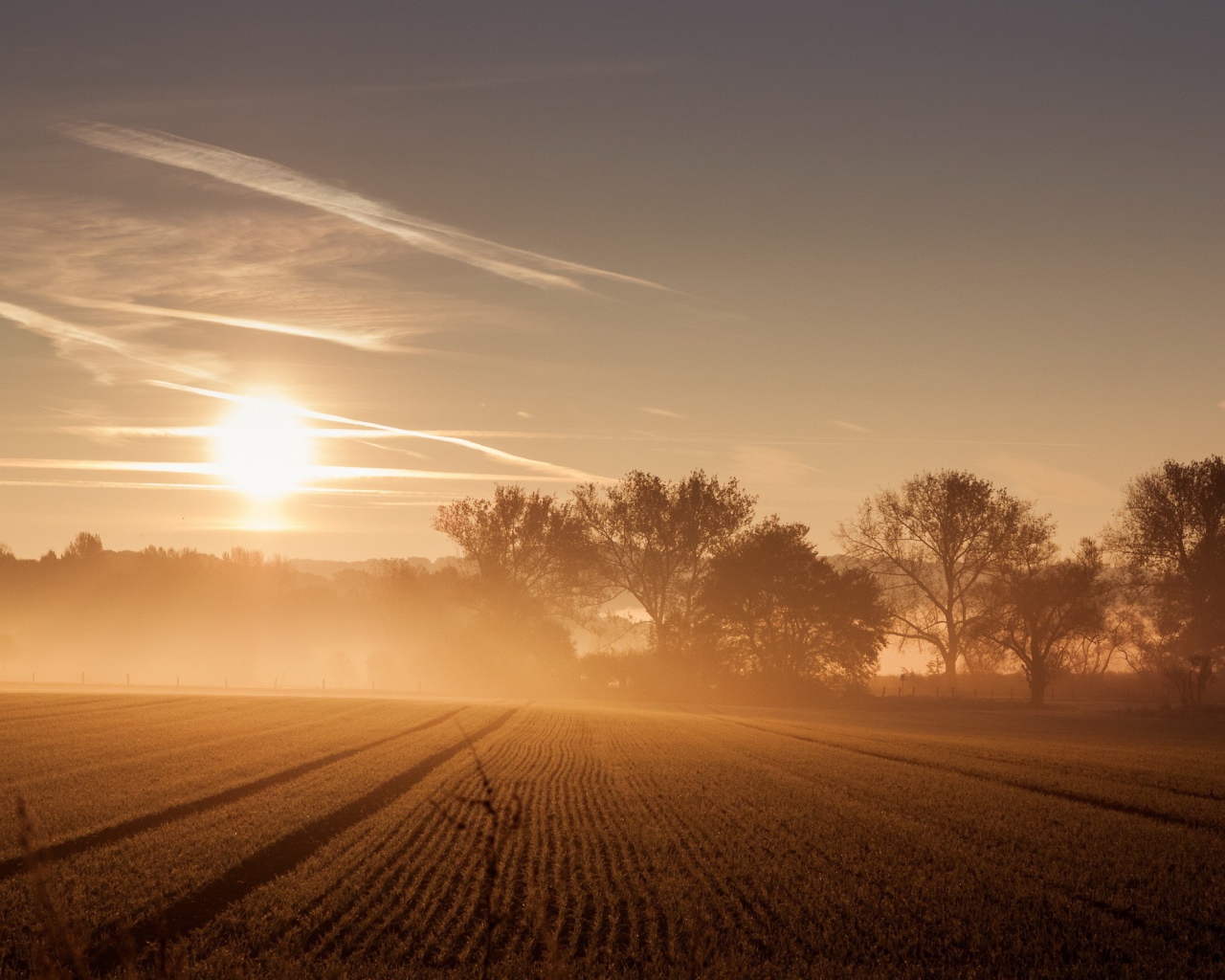 Восход солнца и туман над полем 