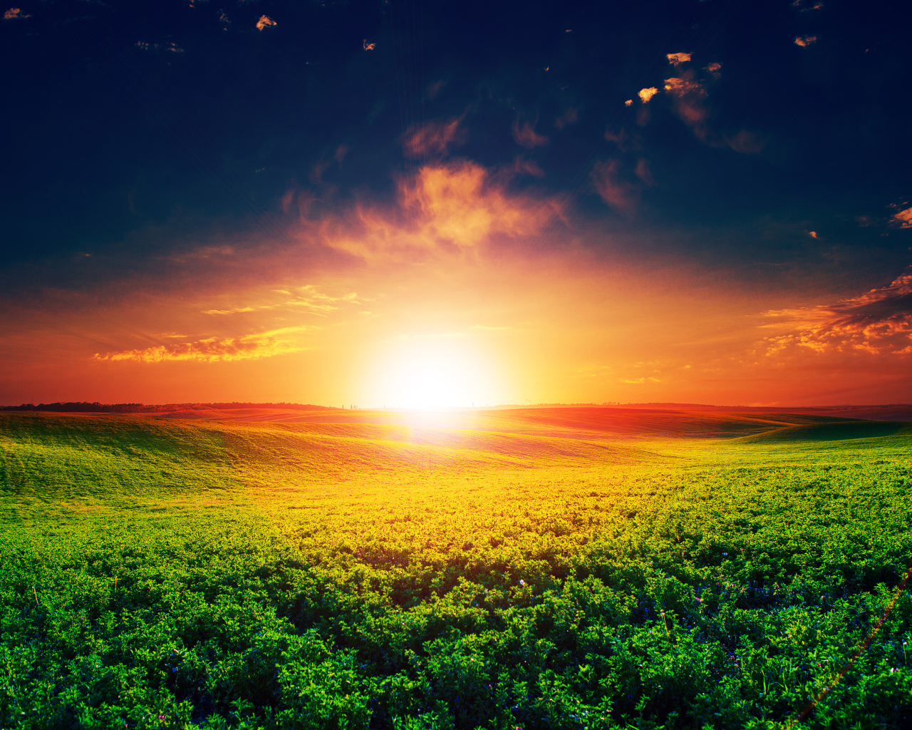 Восход яркого летнего солнца над полем