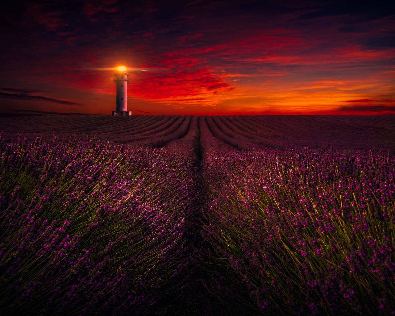 Маяк освещает лавандовое поле под красивым небом