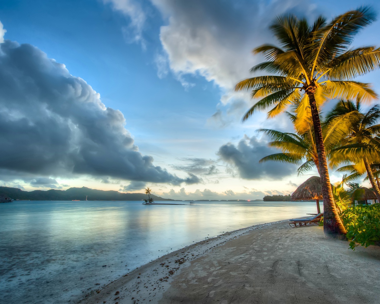 Пальмы под красивым небом у океана на побережье Бора-Бора