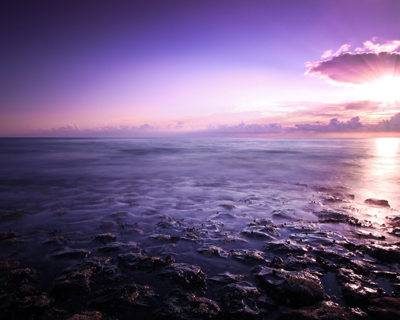 Фиолетовый закат над океаном 