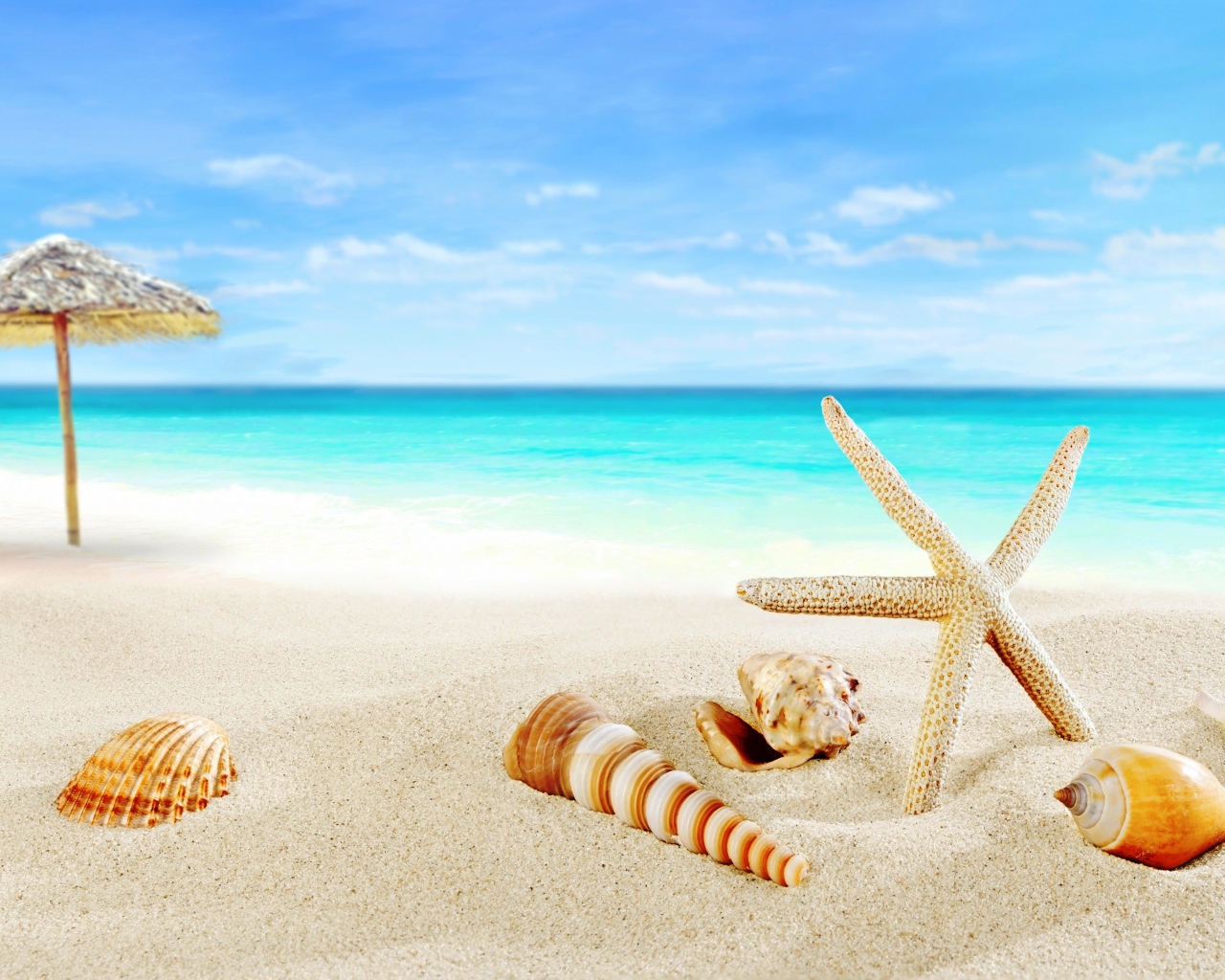 Ракушки и зонт на тропическом пляже