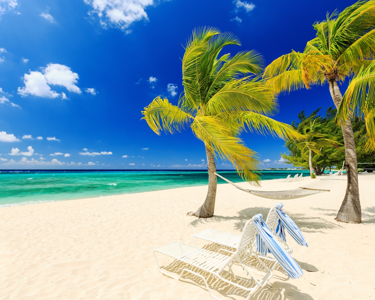 Лежаки и пальмы у моря на пляже с белым песком