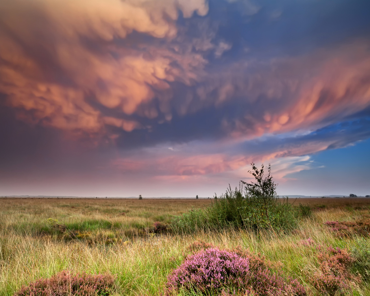 Красивые низкие облака в небе над полем