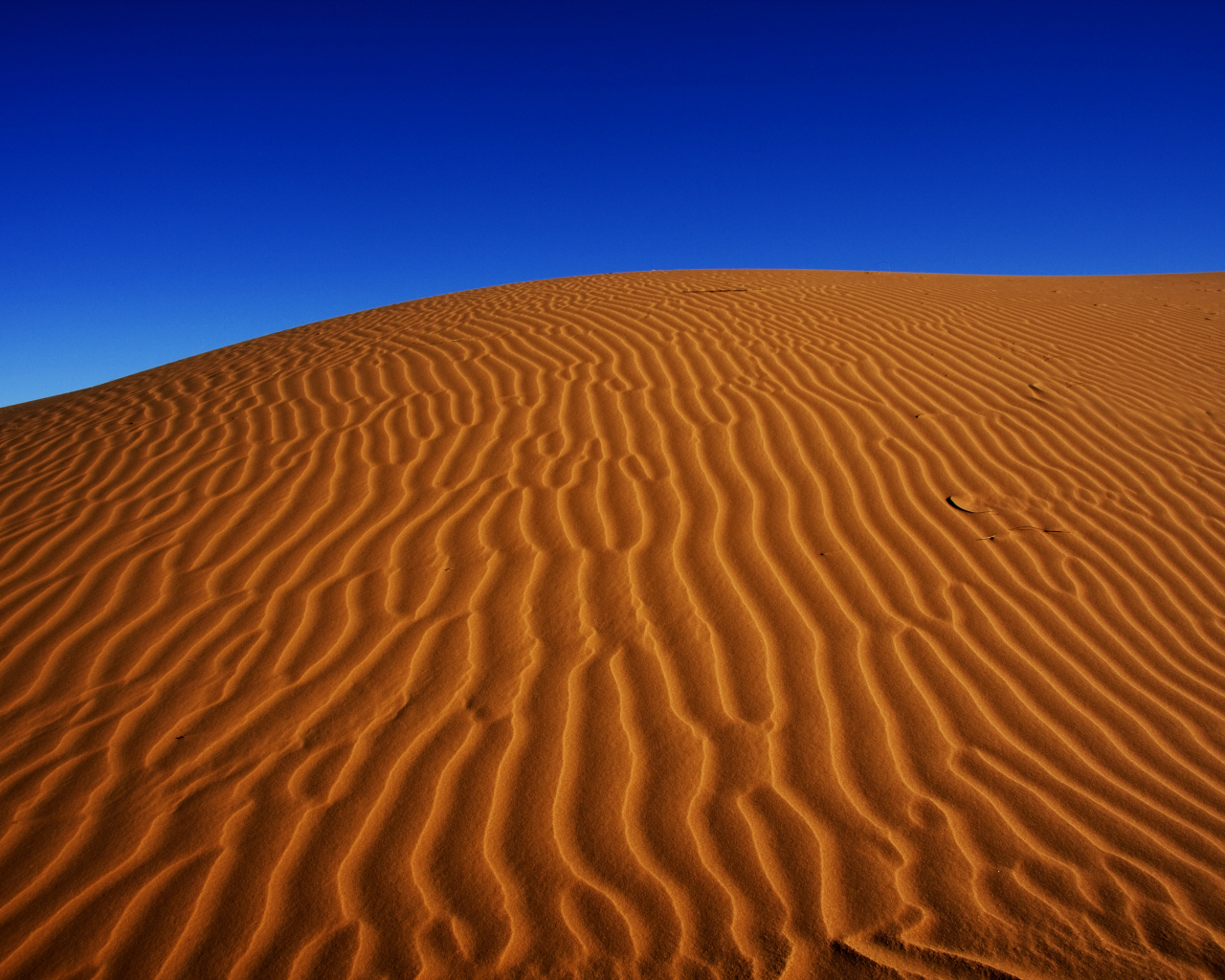 Пустыня Сахара под красивым голубым небом