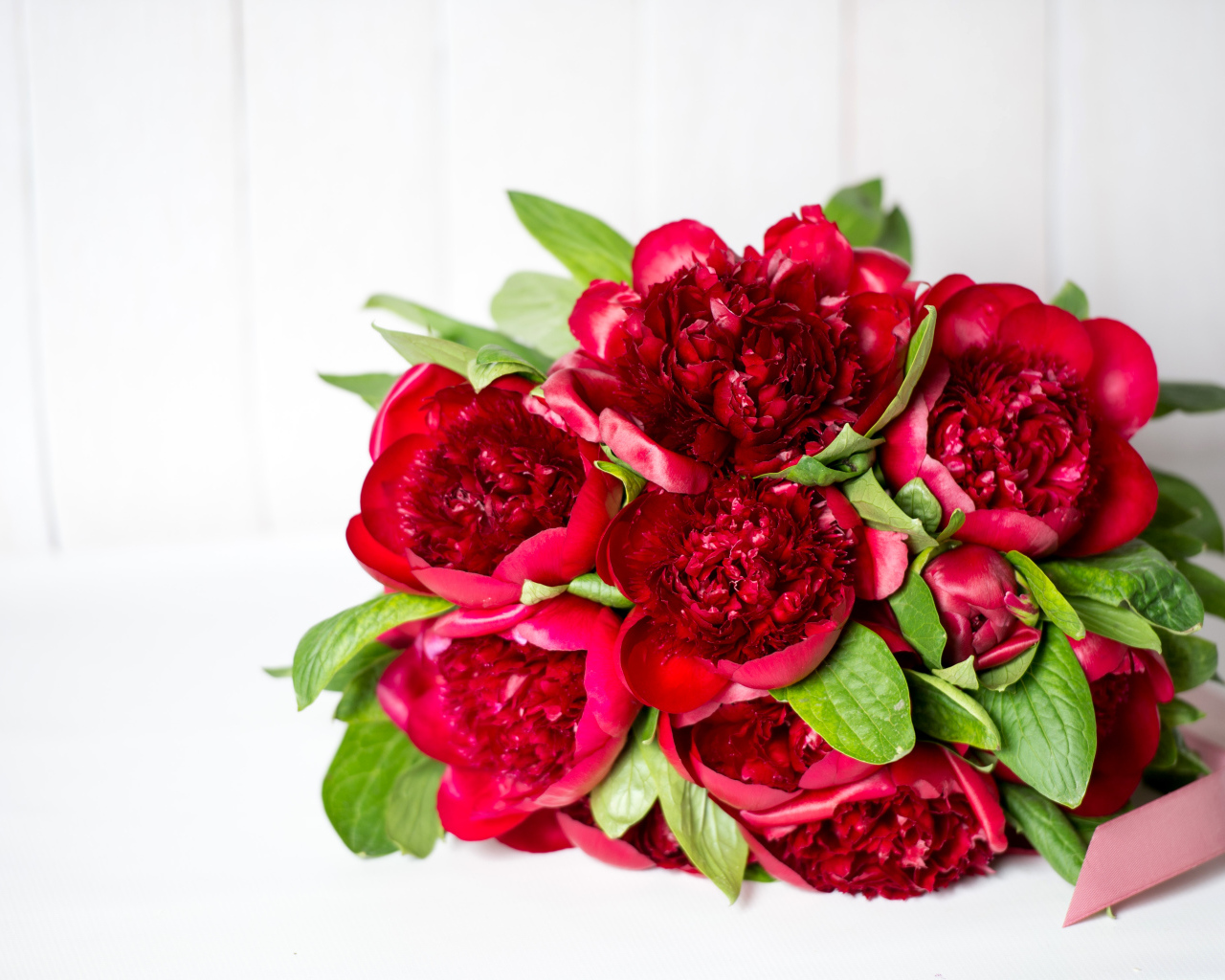 Красивый большой букет бордовых пионов
