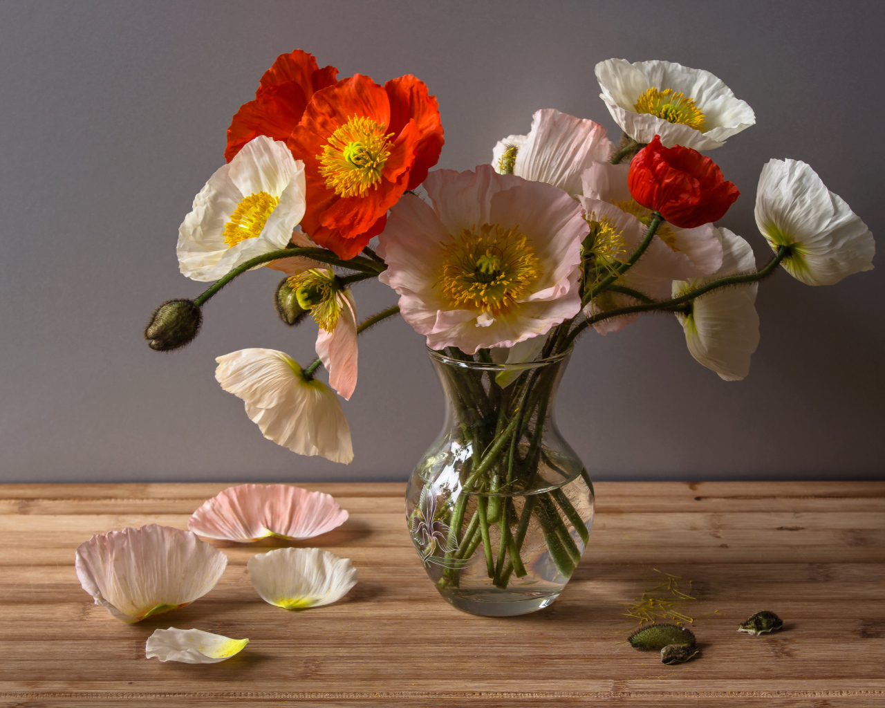 Букет крупных красивых маков в прозрачной вазе