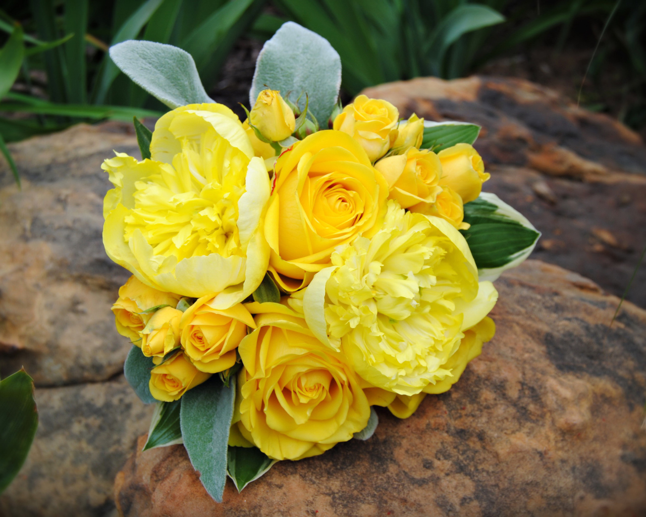 Букет желтых роз с желтыми пионами лежит на камне