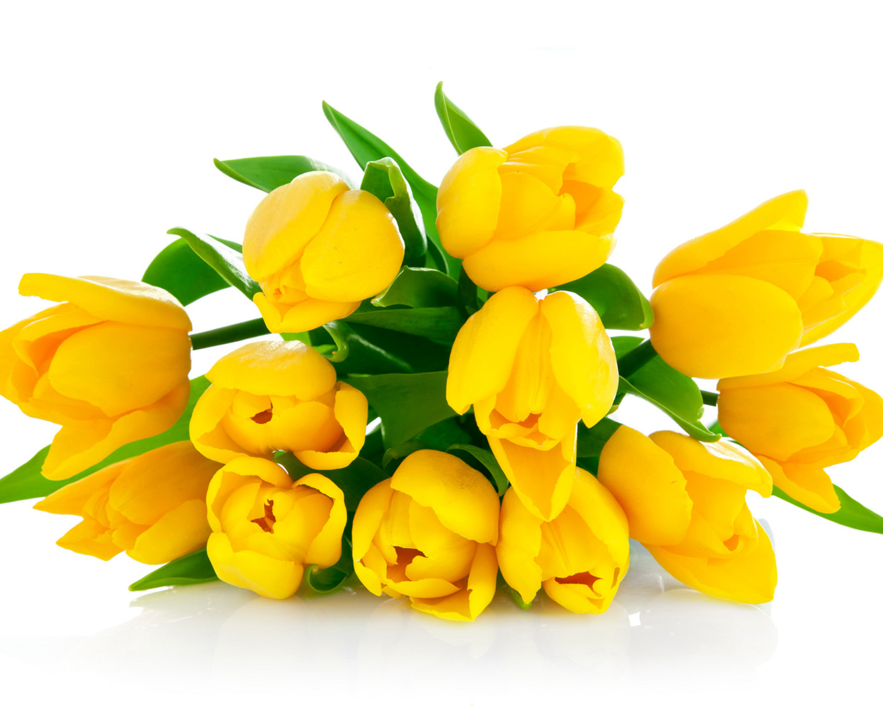 Букет желтых тюльпанов на белом фоне