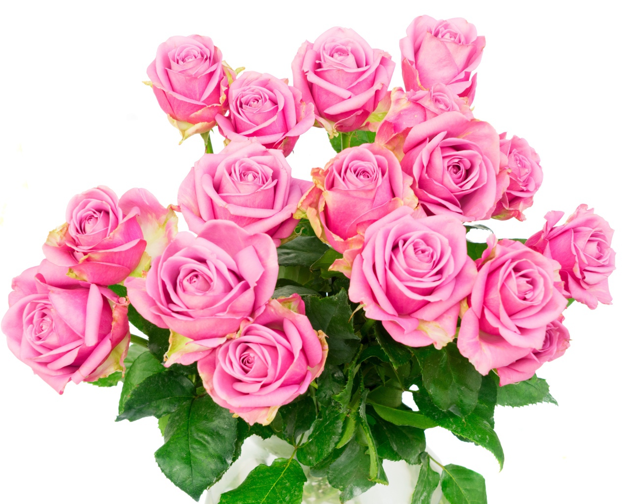 Красивый большой букет розовых роз на белом фоне