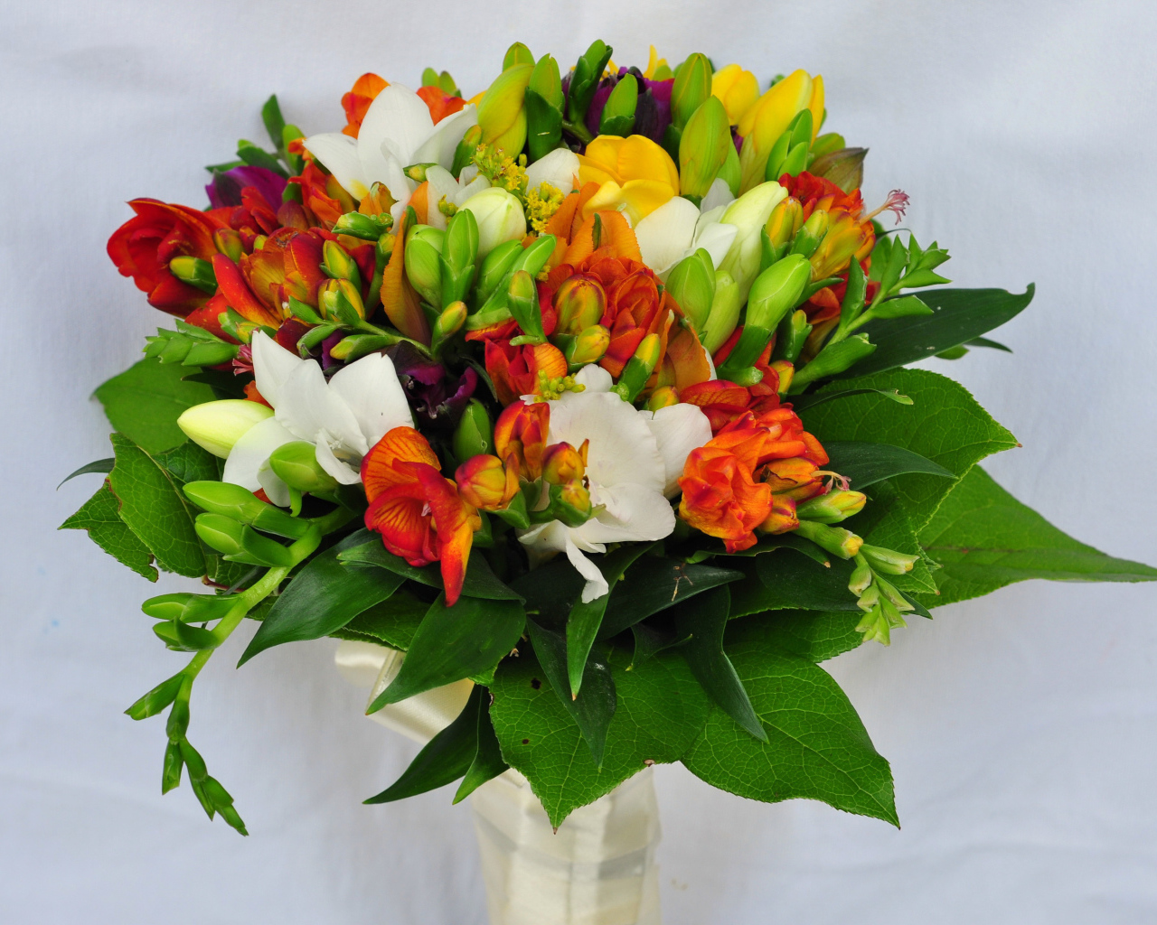 Красивый букет фрезий на сером фоне