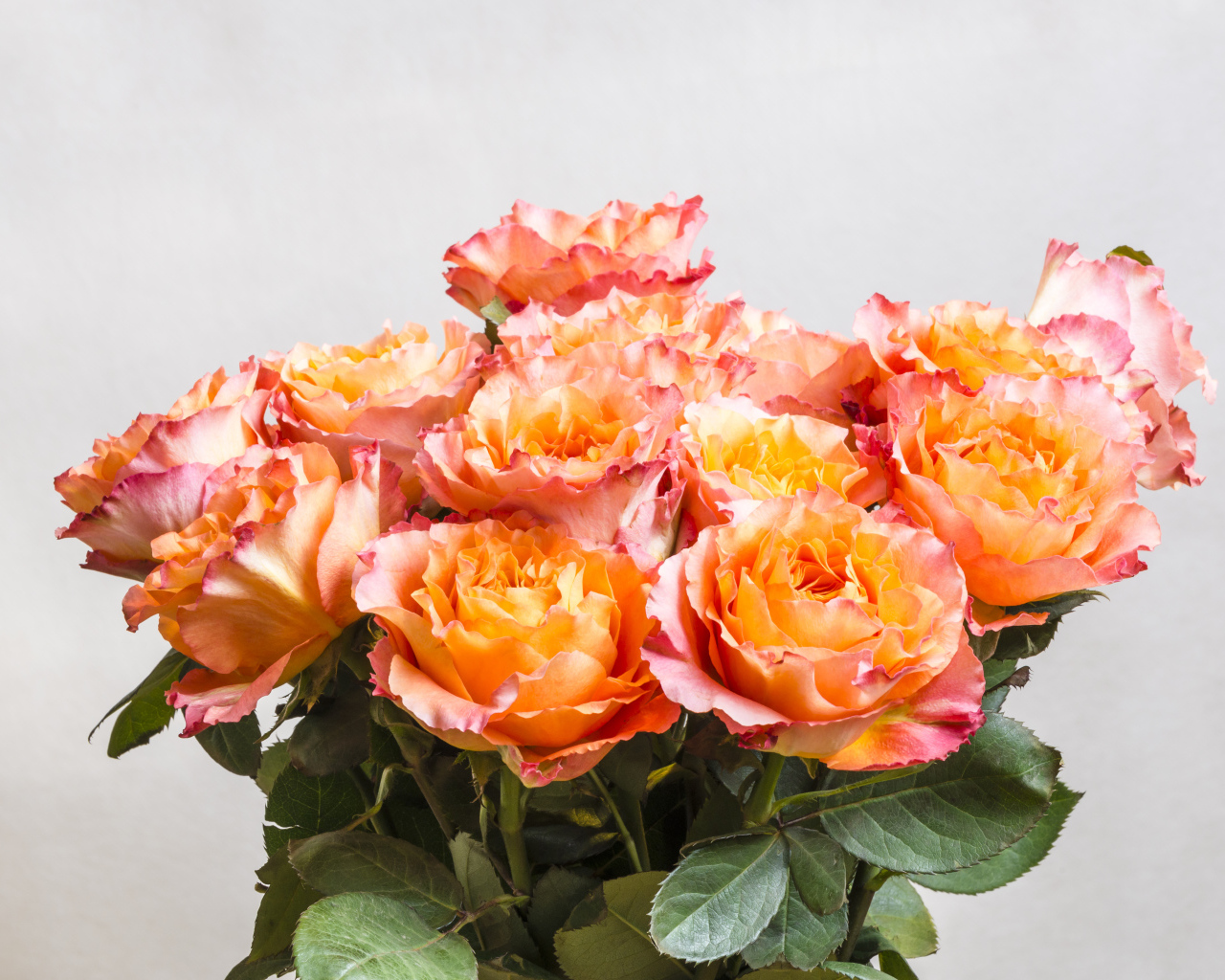 Красивый букет оранжевых роз на сером фоне