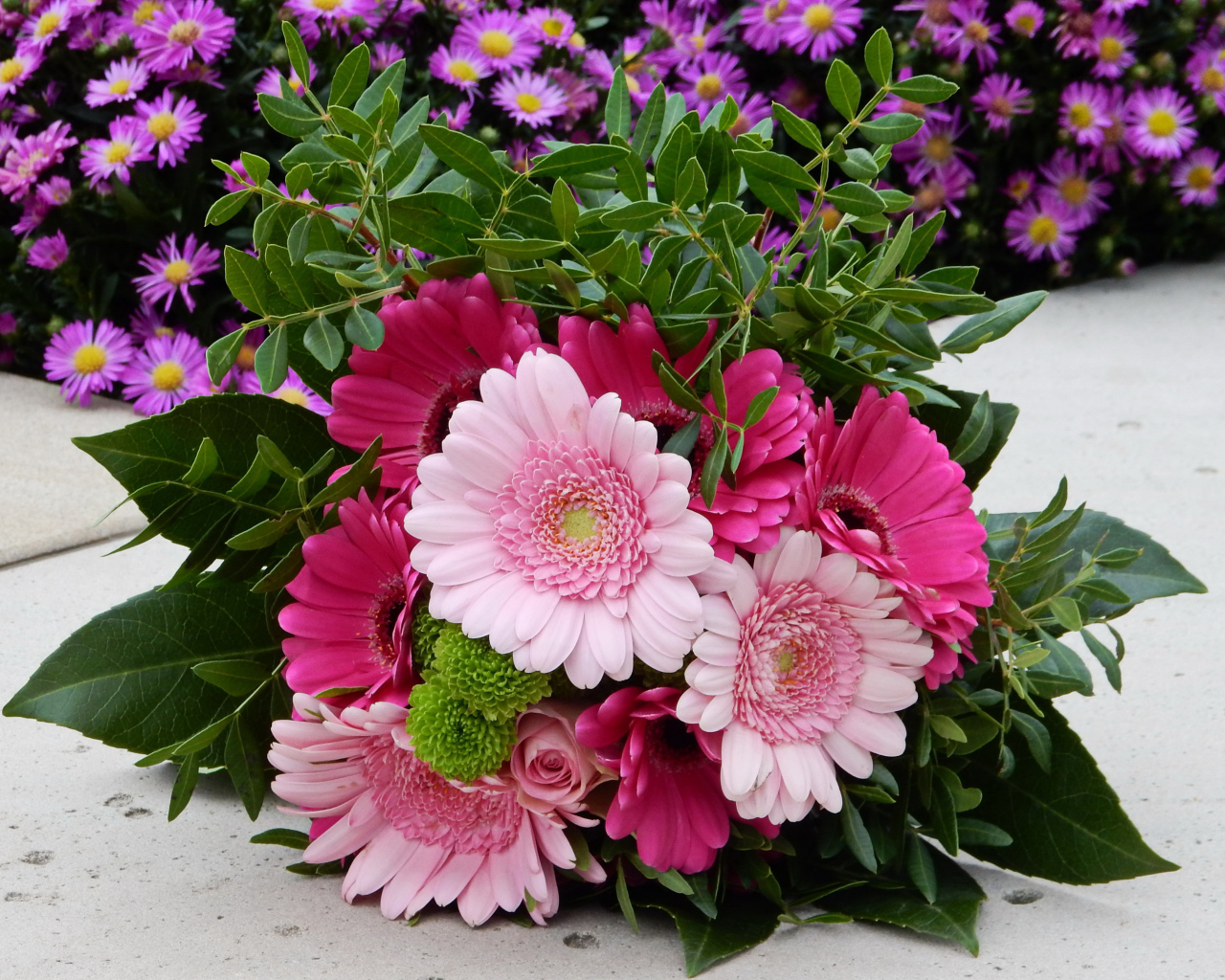 Красивый букет розовых гербер 