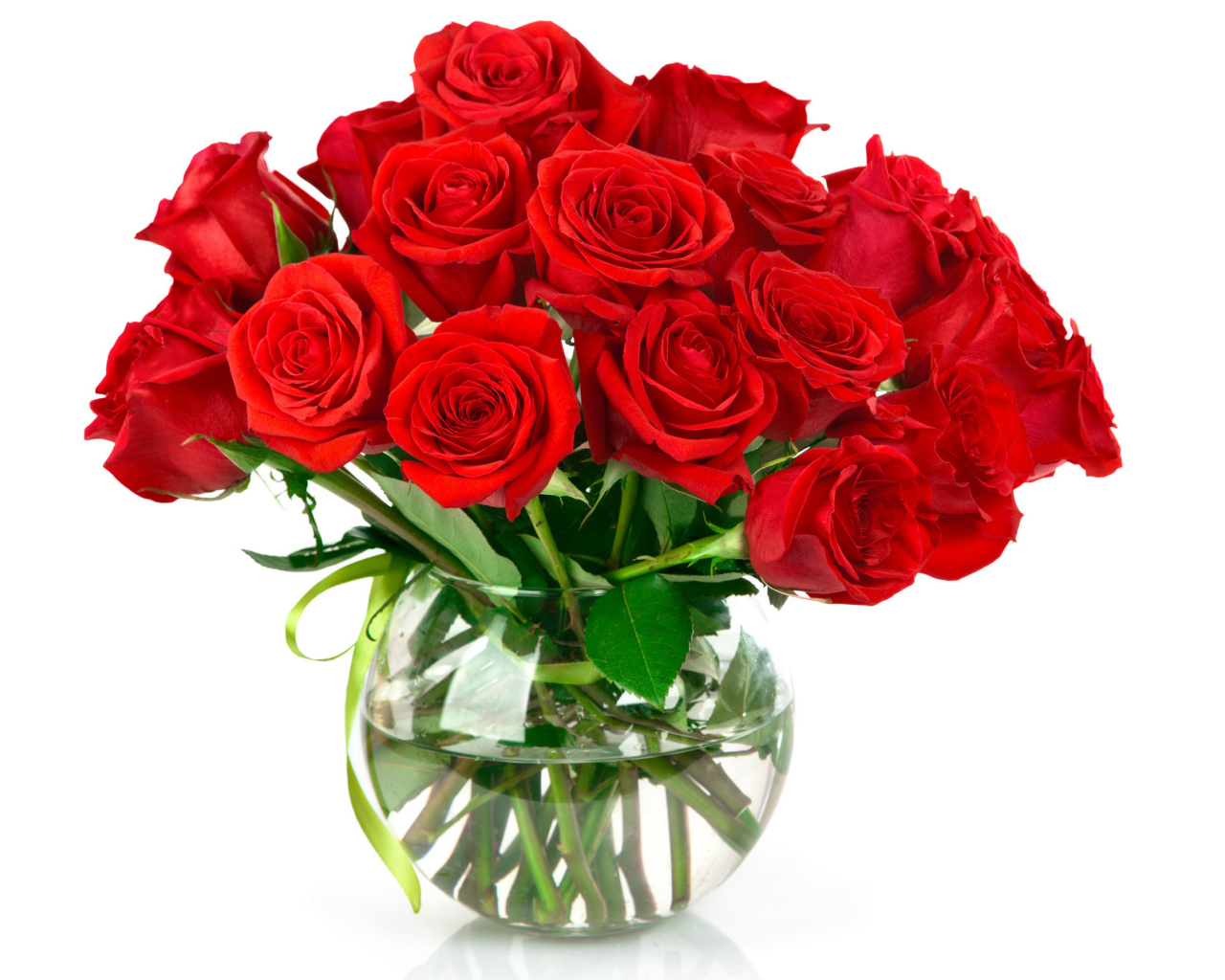 Красивый букет красных роз в стеклянной вазе на белом фоне