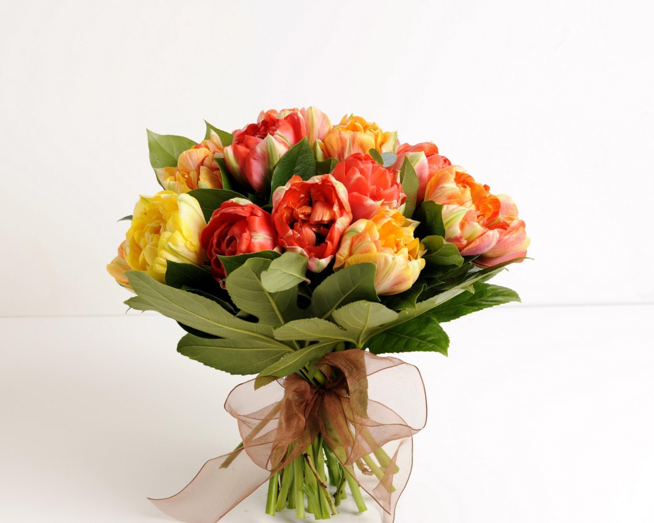 Красивый букет тюльпанов на белом фоне