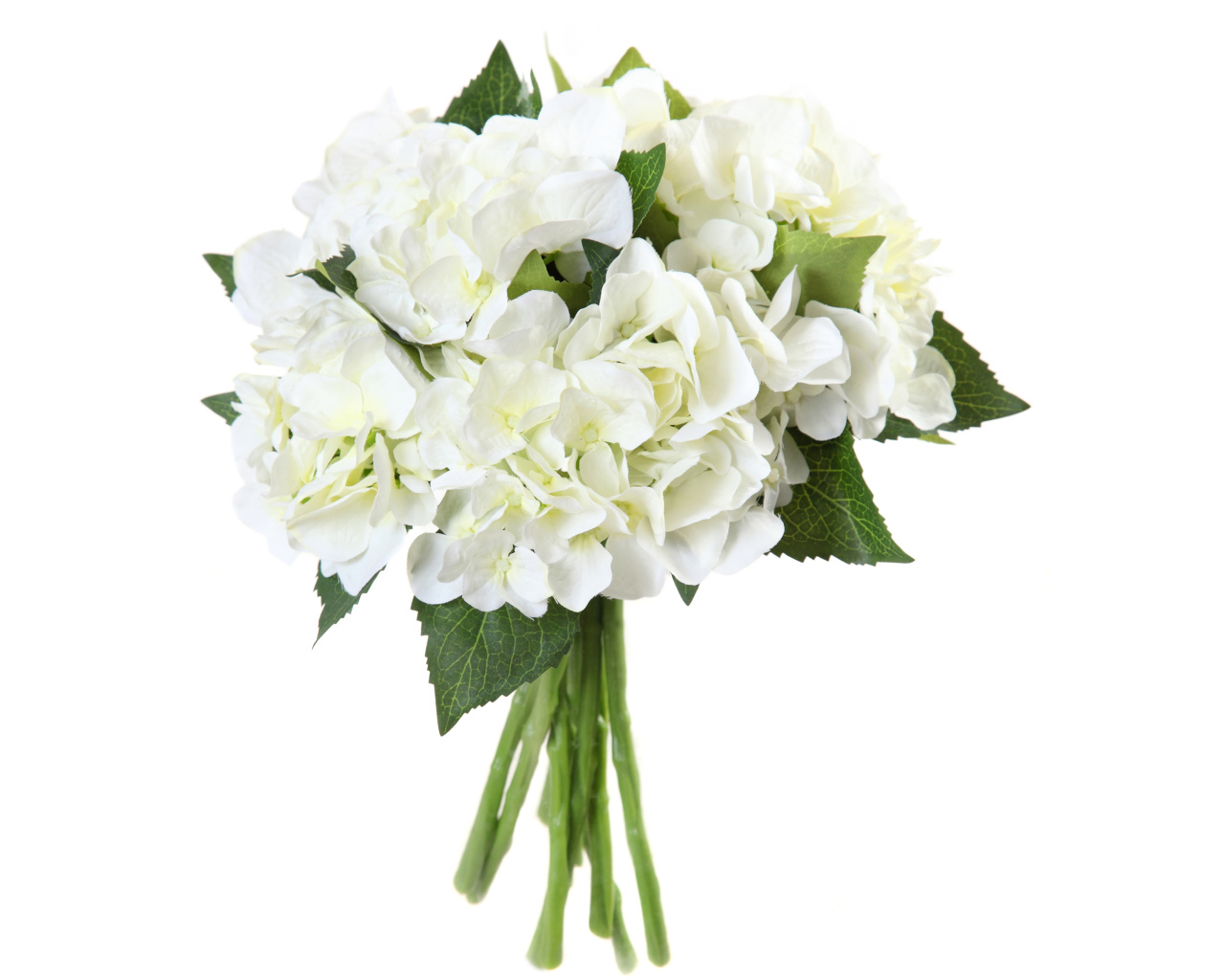 Красивый нежный букет с белыми цветами гортензии