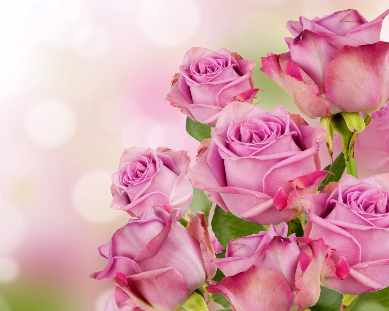 Букет красивых розовых роз 