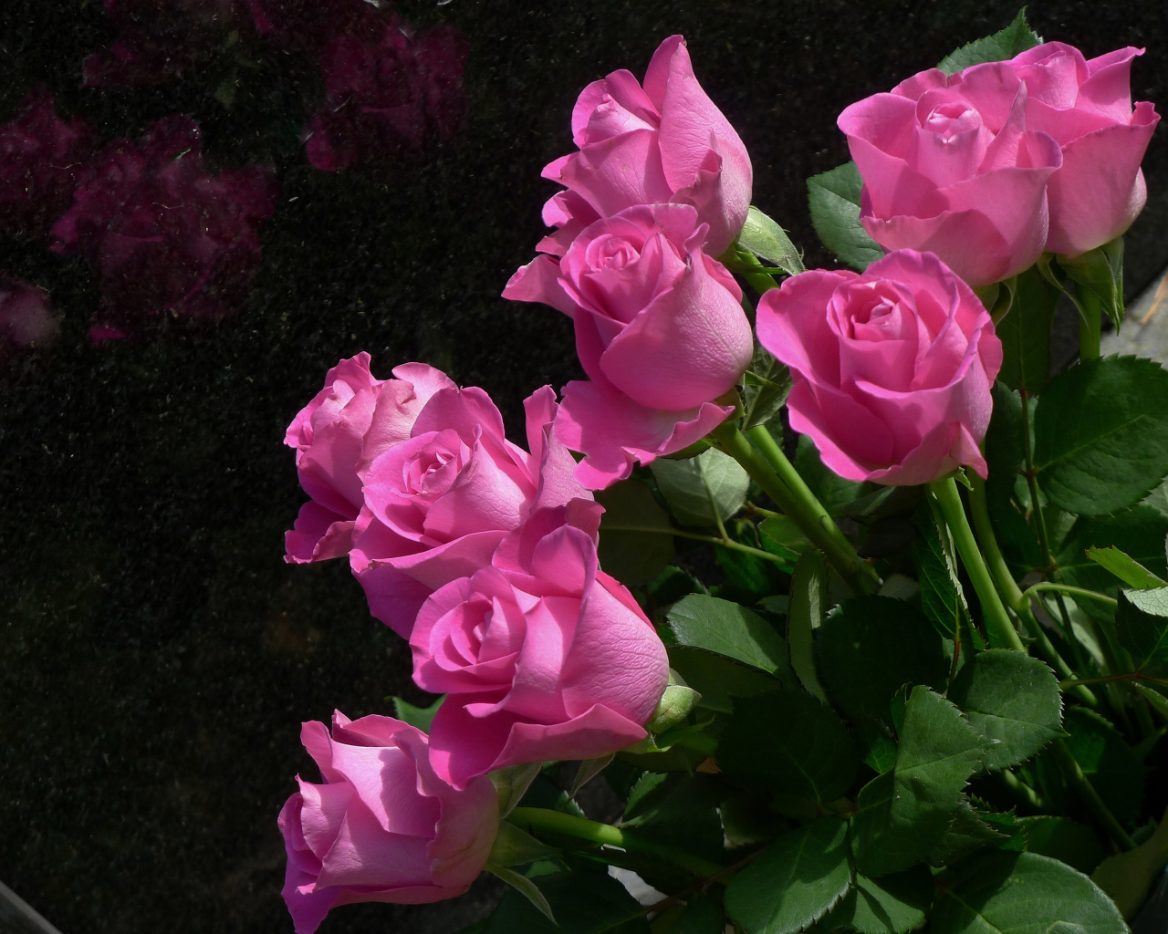 Букет красивых розовых роз крупным планом