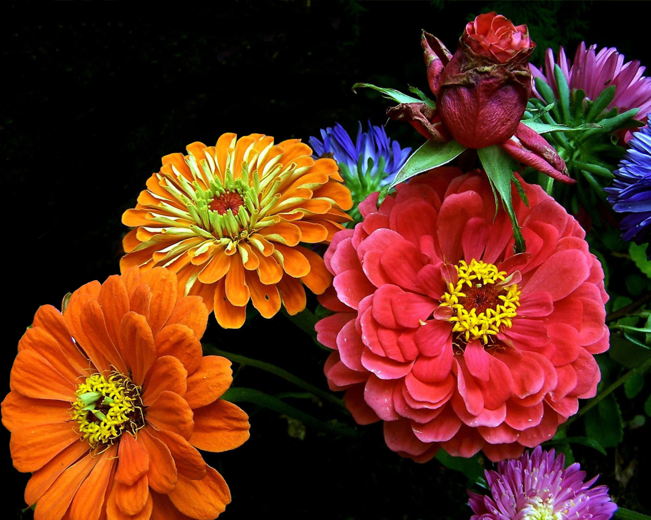 Букет ярких летних цветов 