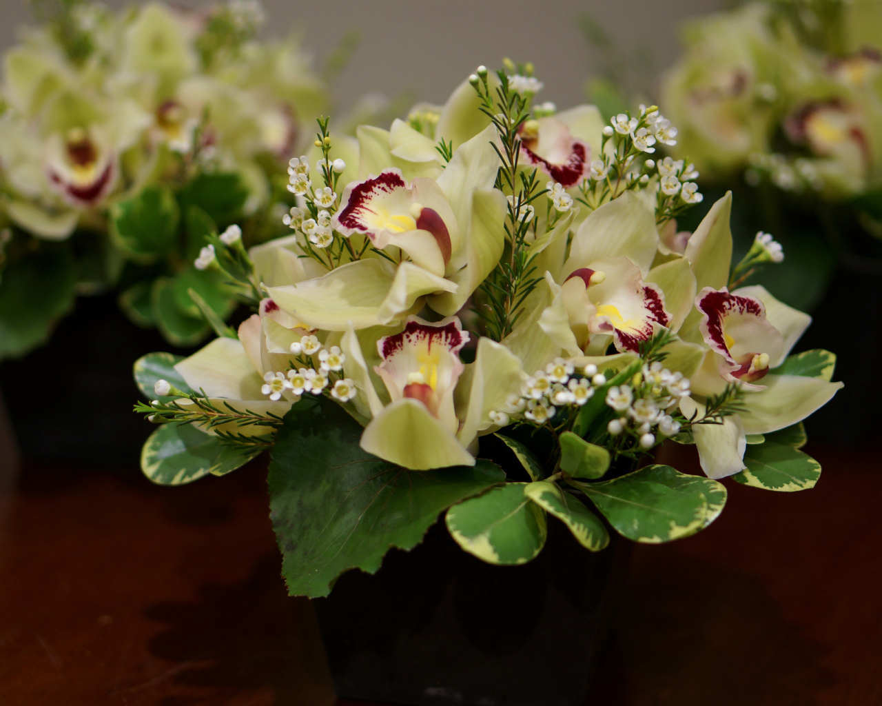 Букет нежной орхидеи и морозника