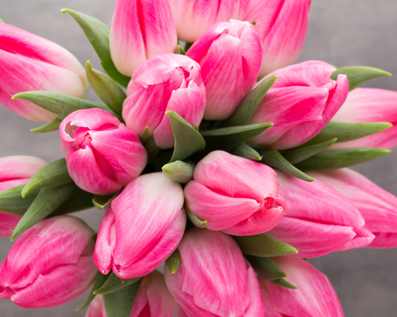 Букет нежных розовых тюльпанов 