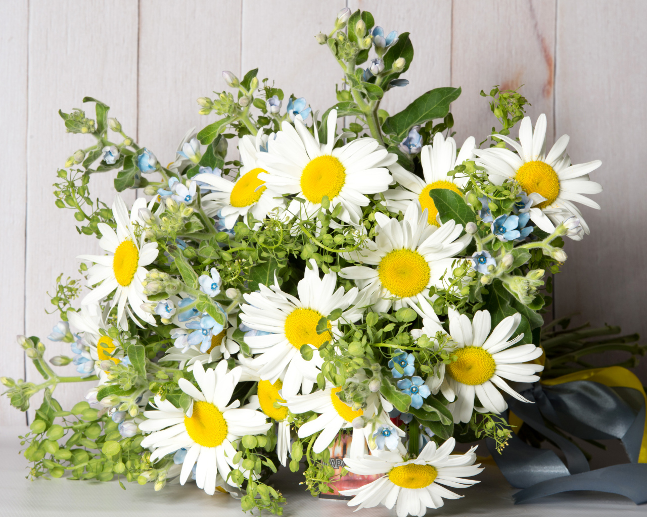 Букет полевых ромашек перевязанный лентой