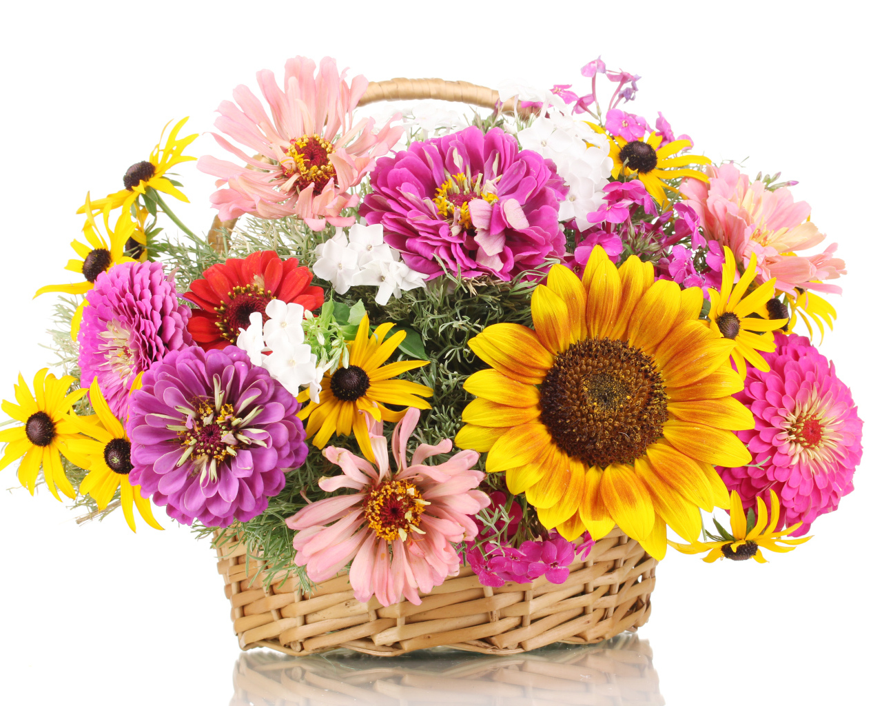 Букет цветов цинии, рудбекии и подсолнуха в корзине на белом фоне