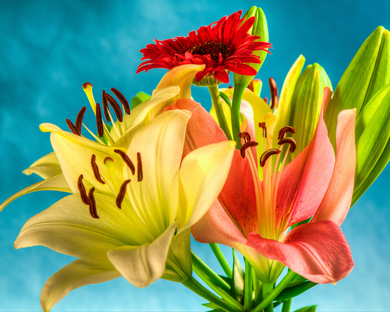 Букет из лилий и гербер на голубом фоне 