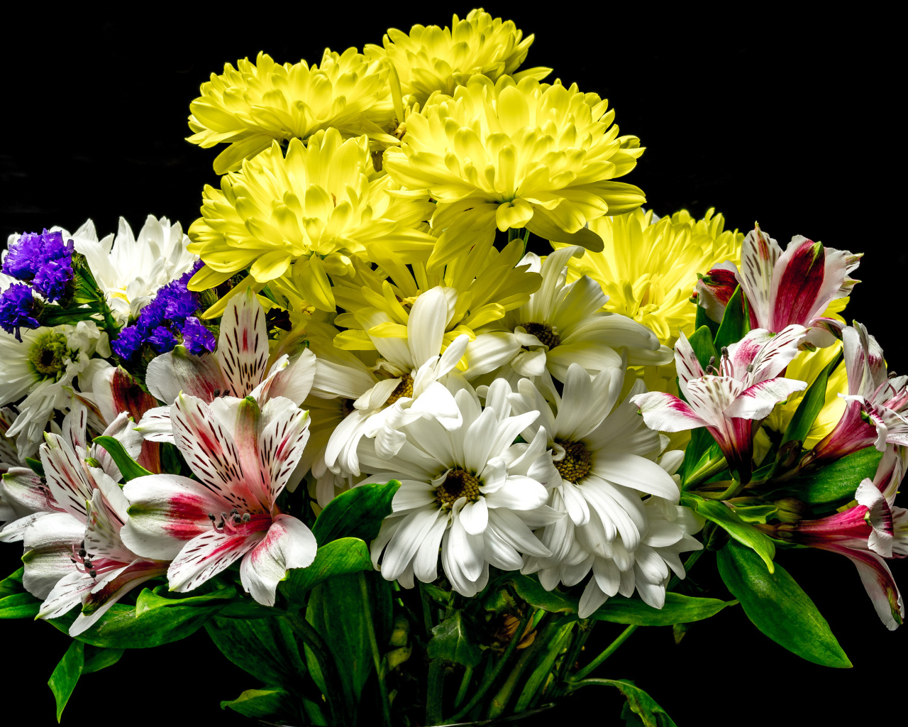 Букет разноцветных хризантем с цветами альстромерия на черном фоне