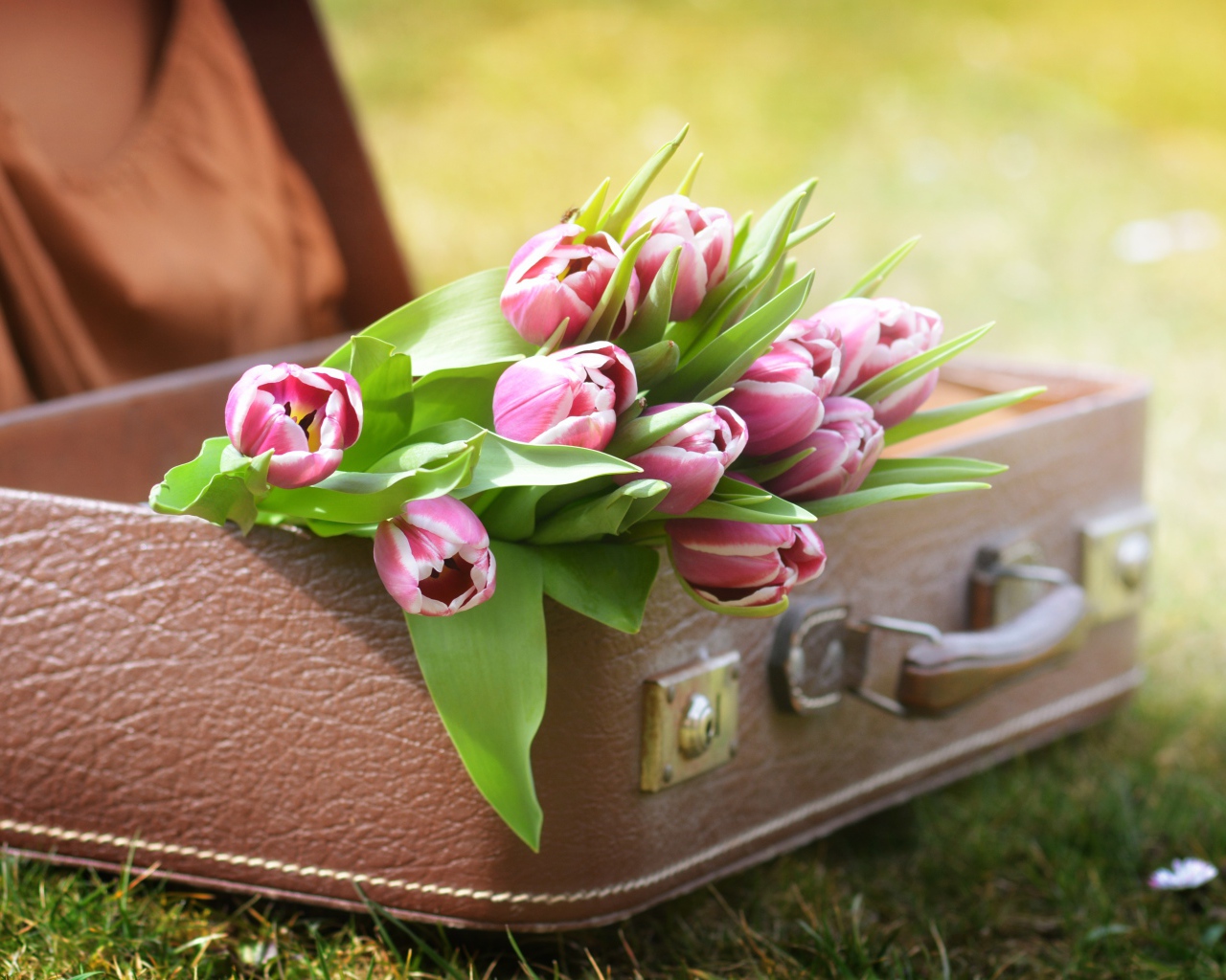 Букет розовых тюльпанов в кожаном чемодане